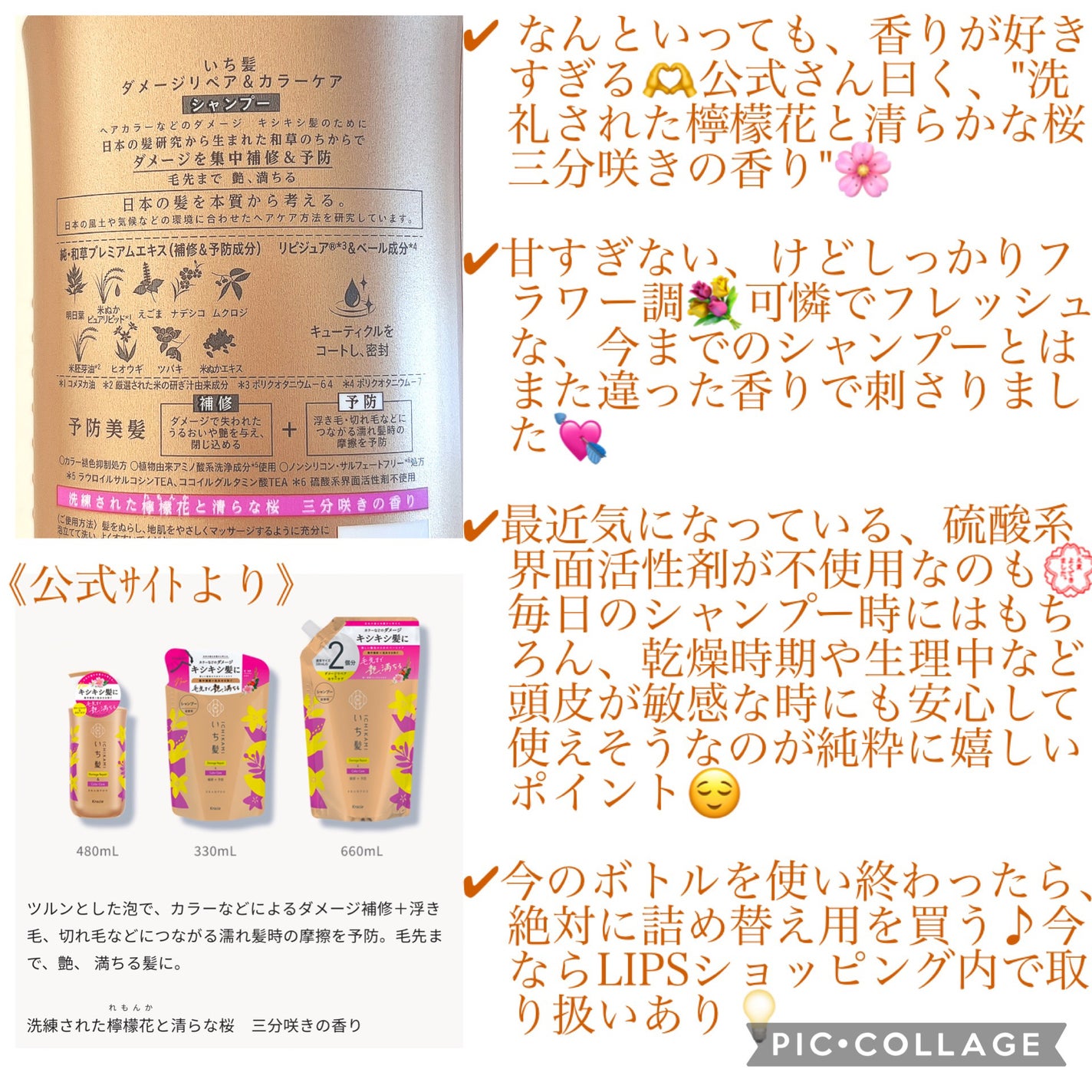 ãã¡ãŒãžãªãã¢ïŒã«ã©ãŒã±ã¢ ã·ã£ã³ããŒ/ã³ã³ãã£ã·ã§ããŒ/ãã¡é«ª/åžè²©ã·ã£ã³ããŒã䜿ã£ãã¯ãã³ãïŒ3æç®ïŒ