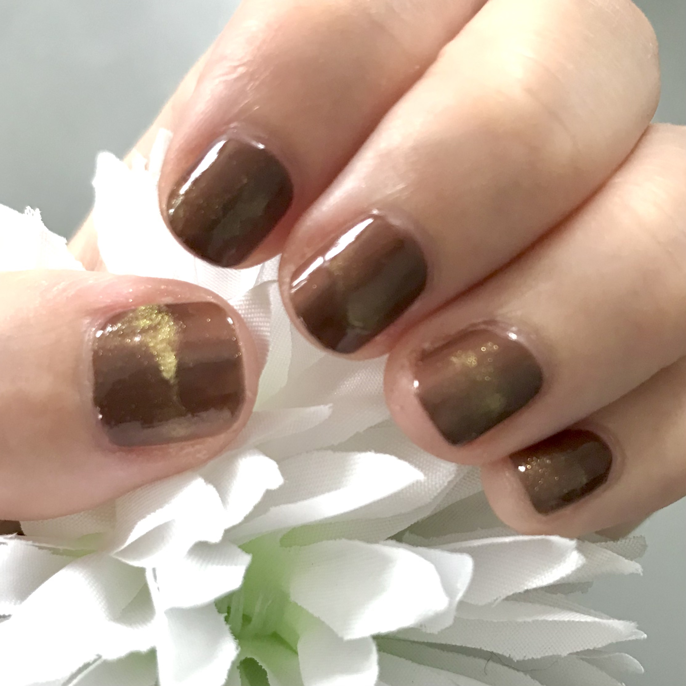 オーロラパウダー/セリア/ネイル用品を使ったクチコミ（1枚目）