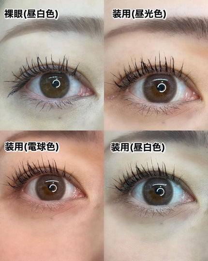 フェアリー ワンデー シマーリングシリーズ/FAIRY/ワンデー(1DAY)カラコンを使ったクチコミ(4枚目)