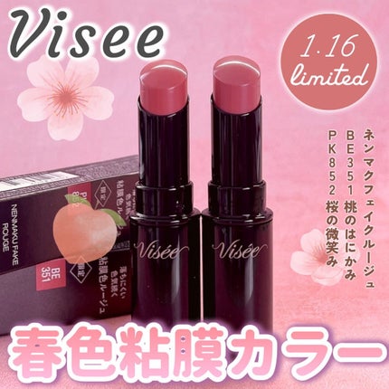 ネンマクフェイク ルージュ/Visée/口紅を使ったクチコミ(1枚目)