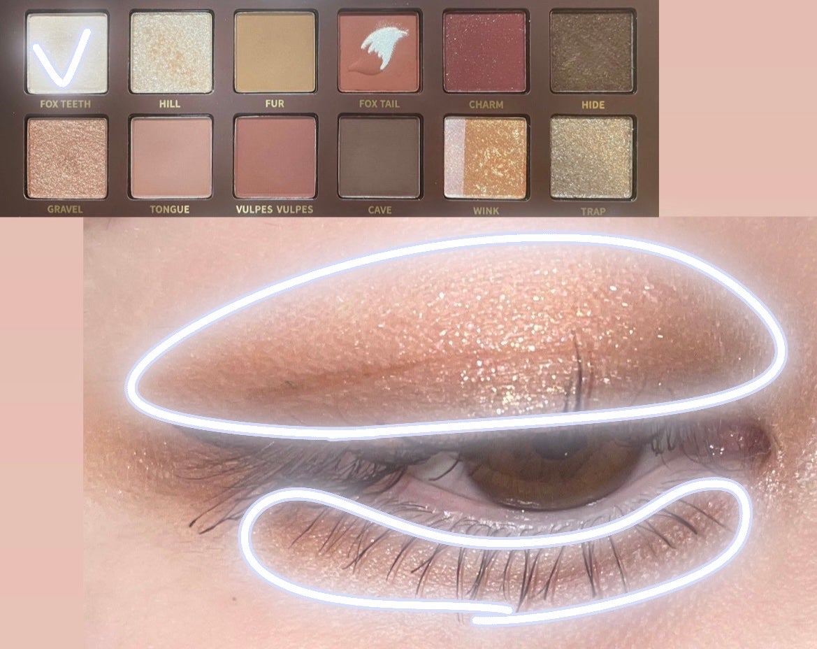 エクスプローラ12色 動物アイシャドウパレット/PERFECT DIARY/アイシャドウパレットを使ったクチコミ(4枚目)