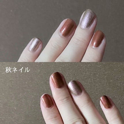 RMK ネイルラッカー EX-05 レトロ ローズウッド/RMK/マニキュアの画像