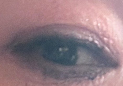 ジューシーピュアアイズ/キャンメイク/アイシャドウパレットを使ったクチコミ（2枚目）