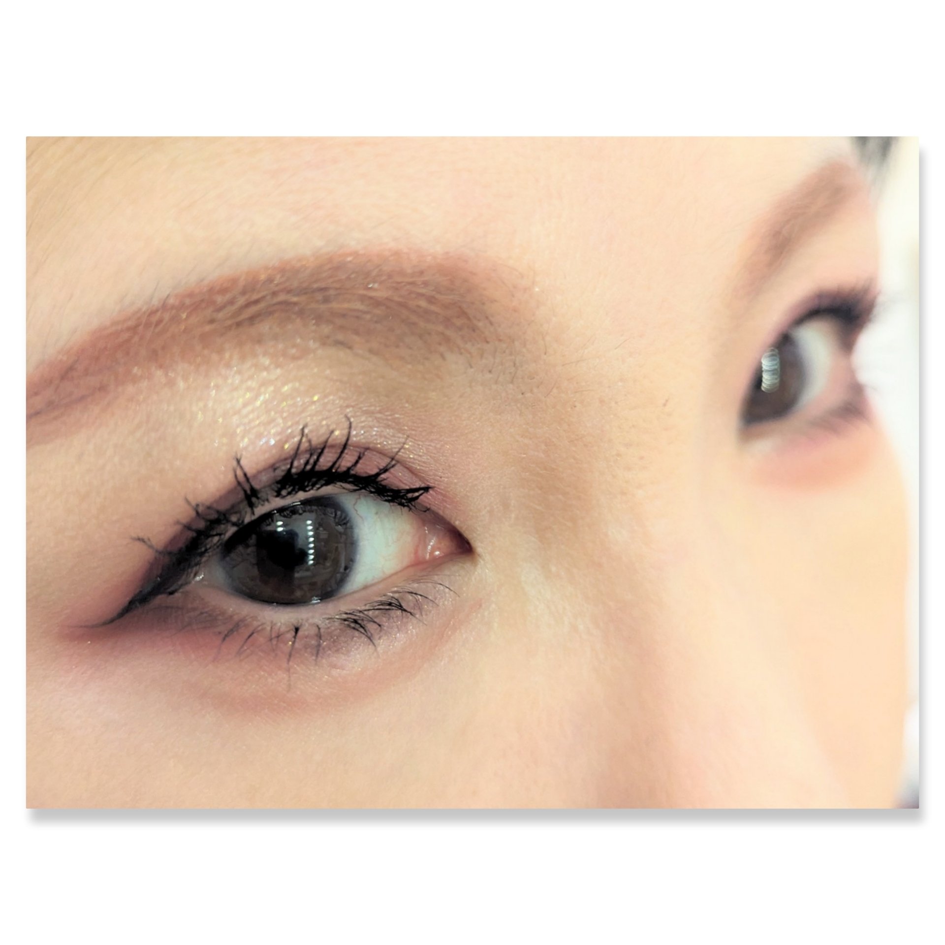 パーフェクトマルチアイズ/キャンメイク/アイシャドウパレットを使ったクチコミ（2枚目）