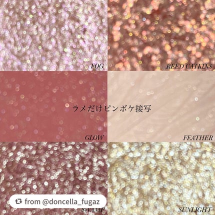 エクスプローラ12色 動物アイシャドウパレット/PERFECT DIARY/アイシャドウパレットを使ったクチコミ(7枚目)