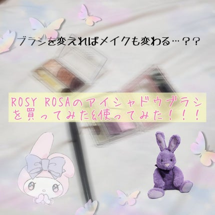 アイシャドウブラシセット/ロージーローザ/メイクブラシを使ったクチコミ(1枚目)