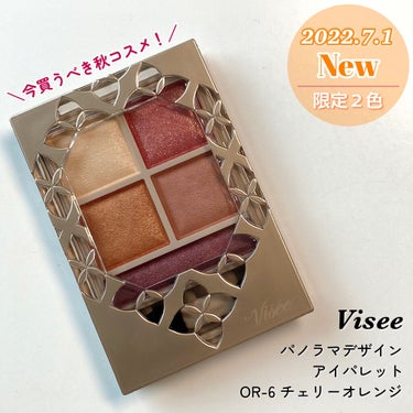 パノラマデザイン アイパレット/Visée/パウダーアイシャドウを使ったクチコミ（1枚目）