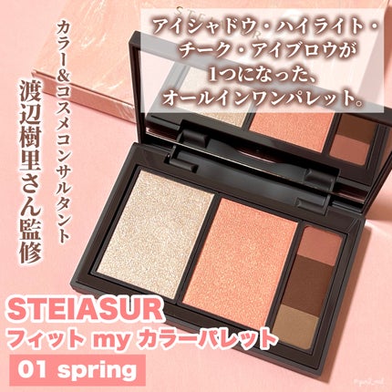 フィット my カラーパレット/STEIASUR(ステイアシュール)/マルチパレットを使ったクチコミ(2枚目)