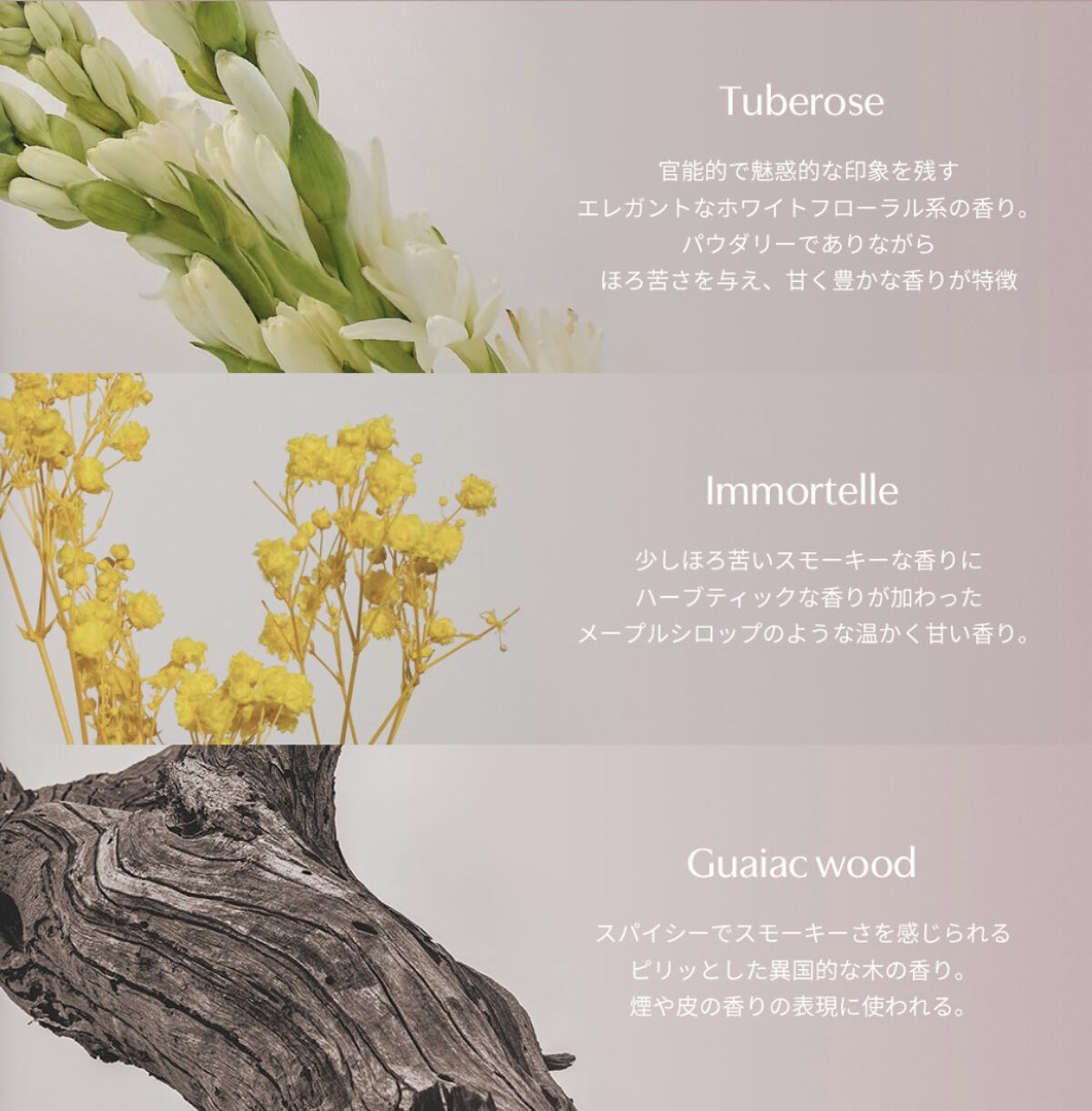 オードゥ パルファム ザ・チューベローズ/hince/香水(レディース)を使ったクチコミ（3枚目）