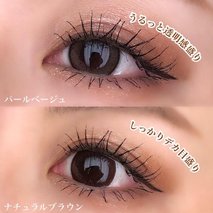 エバーカラーワンデー ナチュラル/エバーカラー/ワンデー(1DAY)カラコンを使ったクチコミ(4枚目)