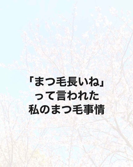 ラッシュケアエッセンス/キャンメイク/まつげ美容液を使ったクチコミ(1枚目)