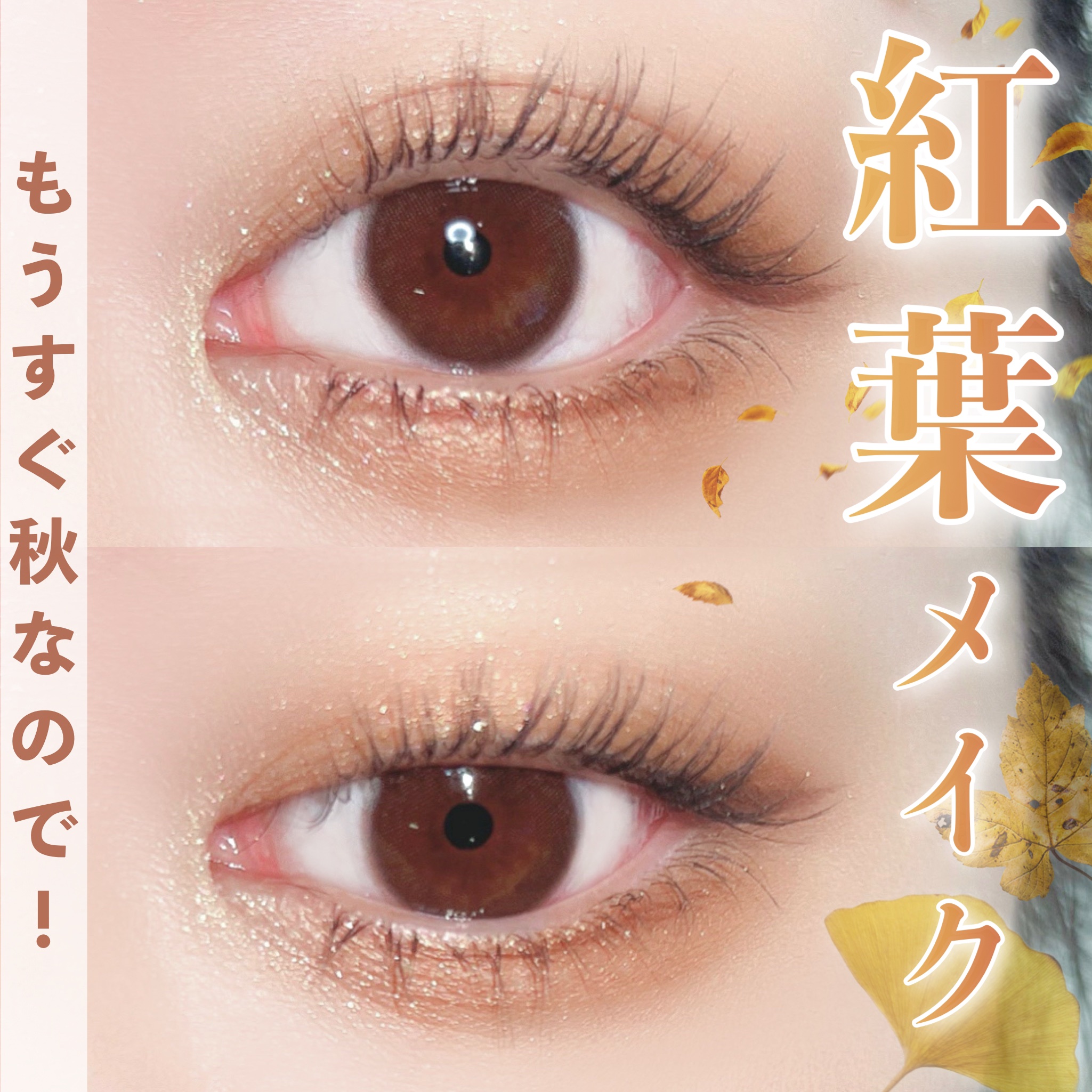 デザイニングブラウンアイズ/KATE/アイシャドウパレットを使ったクチコミ（1枚目）