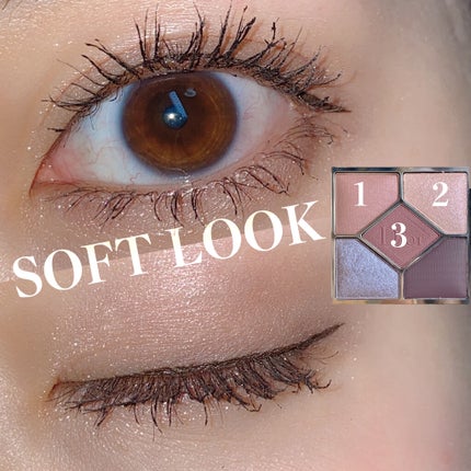 【旧】サンク クルール クチュール/Dior/アイシャドウパレットを使ったクチコミ(6枚目)