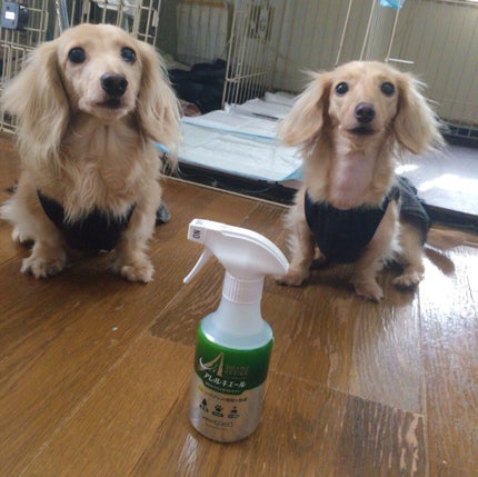 を使ったクチコミ(2枚目)
