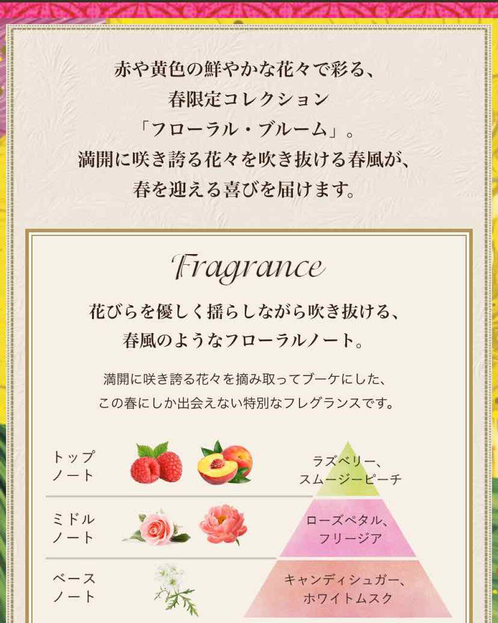 シルキーボディミルク/SABON/ボディミルクを使ったクチコミ(2枚目)