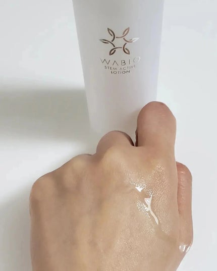 ステム アクティブ ローション/WABIO/化粧水を使ったクチコミ(5枚目)
