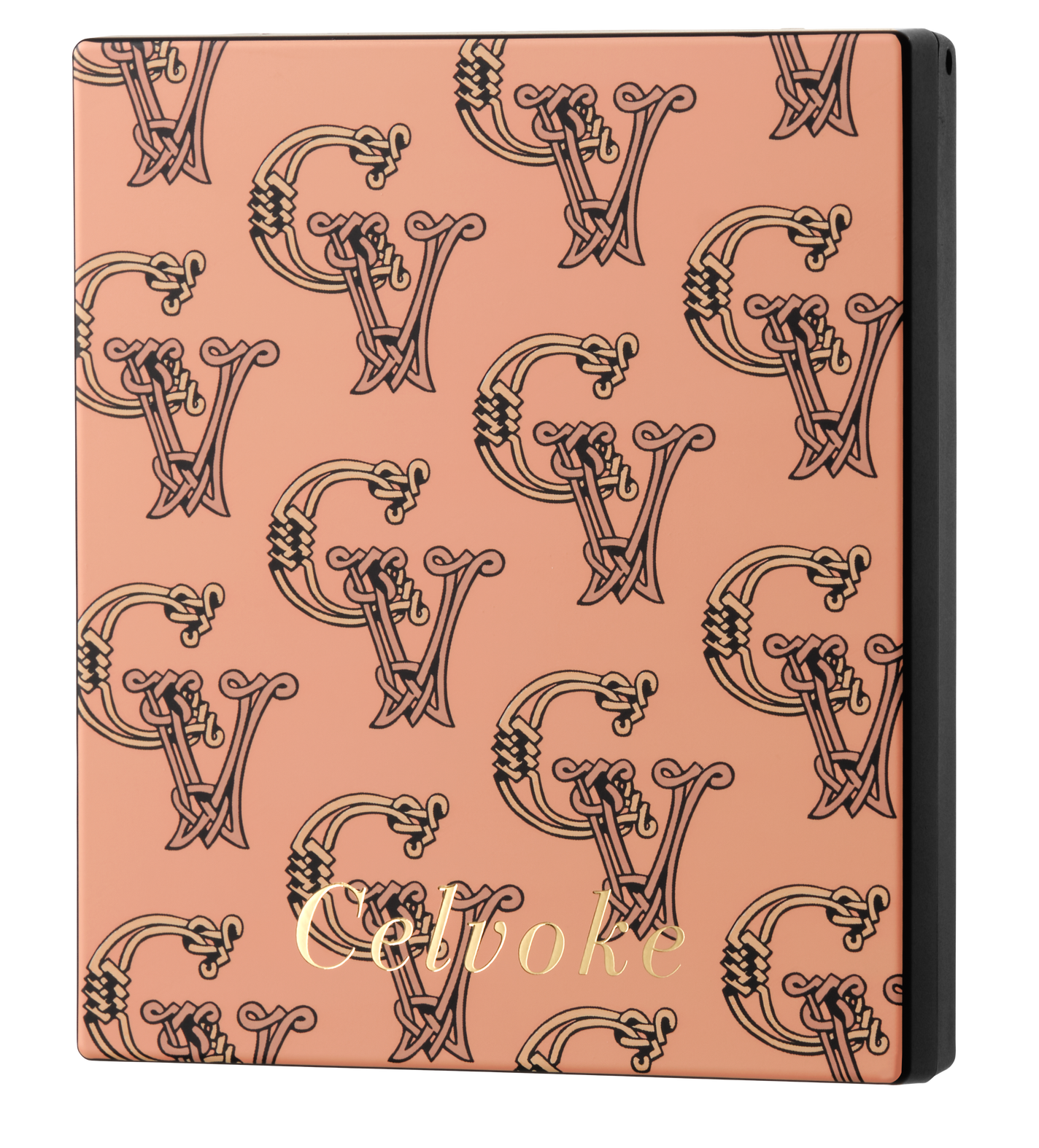 セルヴォーク ポリフォニックブラッシュ EX01 ピンキッシュテラコッタ