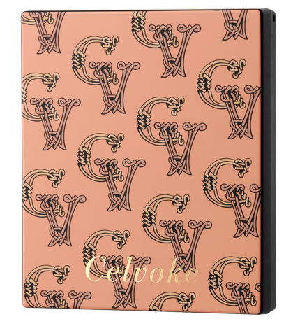 EX01 ピンキッシュテラコッタ