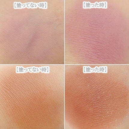 ラスティングマルチアイベース WP/キャンメイク/アイシャドウベースを使ったクチコミ(6枚目)