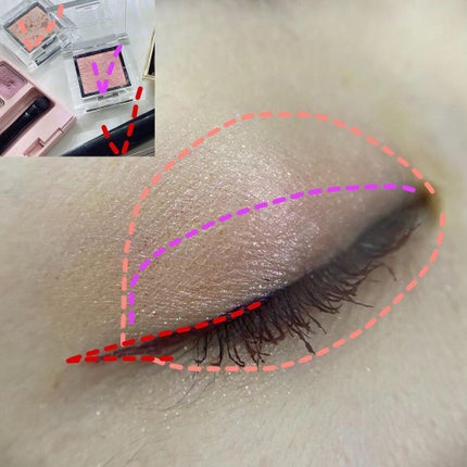 エモーショナル フェイス/Elégance/パウダーチークを使ったクチコミ(4枚目)