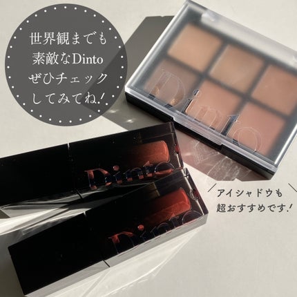 ブラーグロイリップティント/Dinto/リップティントを使ったクチコミ(6枚目)
