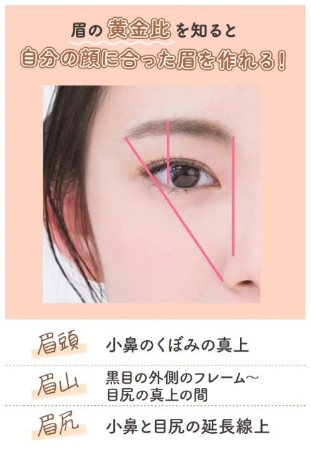 【眉毛濃い人向け】毛深い眉毛の整え方&メイク方法≪男女共通≫おすすめアイブロウ13選の画像