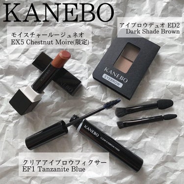 カネボウ モイスチャールージュネオ EX5 Chestnut Moire(限定)/KANEBO/口紅を使ったクチコミ（1枚目）