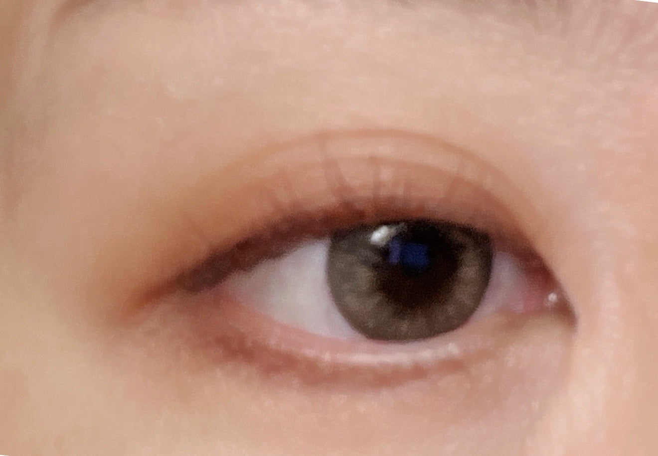 ミネラルクラッシィシャドー/エトヴォス/アイシャドウパレットを使ったクチコミ(5枚目)