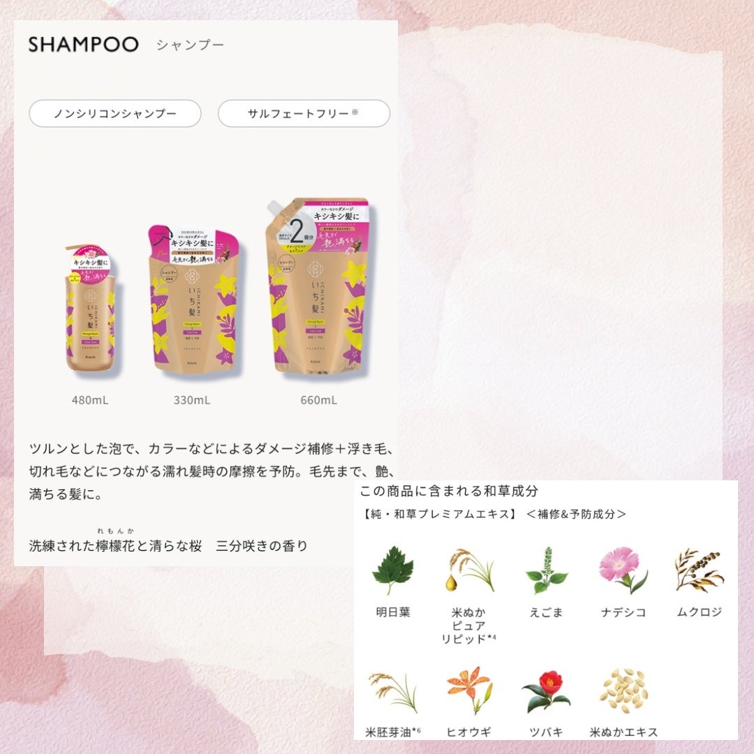 ãã¡ãŒãžãªãã¢ïŒã«ã©ãŒã±ã¢ ã·ã£ã³ããŒ/ã³ã³ãã£ã·ã§ããŒ/ãã¡é«ª/åžè²©ã·ã£ã³ããŒã䜿ã£ãã¯ãã³ãïŒ3æç®ïŒ