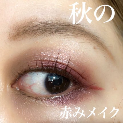 リュクスアイシャドウ/BOBBI BROWN/単色アイシャドウを使ったクチコミ(1枚目)