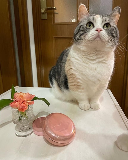 ハイパーカバーフィットクッション ピンク(桜エディション)/APRILSKIN/クッションファンデーションを使ったクチコミ(1枚目)