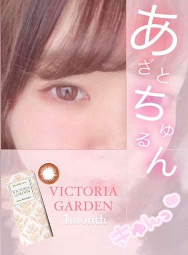 VICTORIA GARDEN 1month/VICTORIA GARDEN/１ヶ月（１MONTH）カラコンを使ったクチコミ（1枚目）