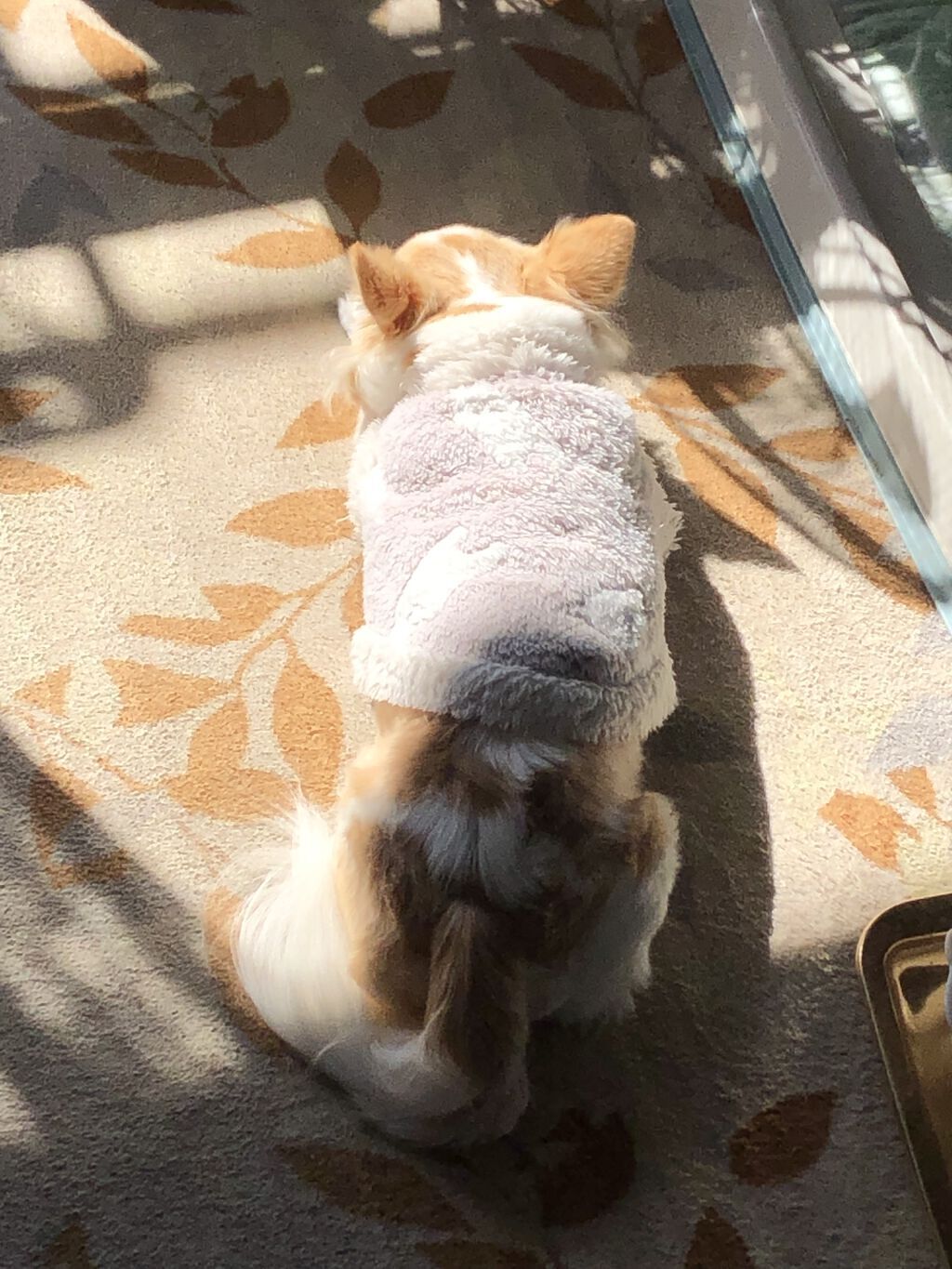 しずく ネイルポリッシュ/キャンドゥ/マニキュアを使ったクチコミ（3枚目）