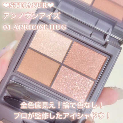 アンノウンアイズ/STEIASUR(ステイアシュール)/アイシャドウパレットを使ったクチコミ(2枚目)