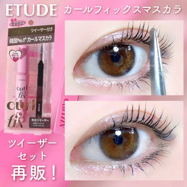 カールフィックスマスカラ ツイーザーセット/ETUDE/メイクアップキットを使ったクチコミ（1枚目）