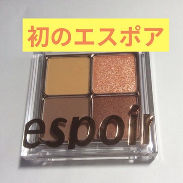 リアルアイハンディパレット/espoir/アイシャドウパレットを使ったクチコミ（1枚目）