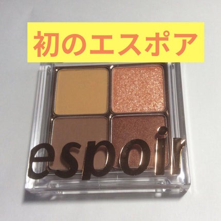 リアルアイハンディパレット/espoir/アイシャドウパレットを使ったクチコミ(1枚目)