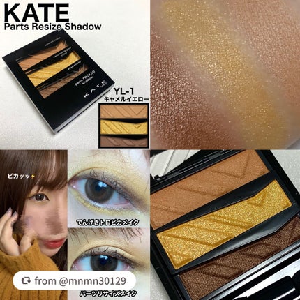 パーツリサイズシャドウ/KATE/アイシャドウパレットを使ったクチコミ(1枚目)