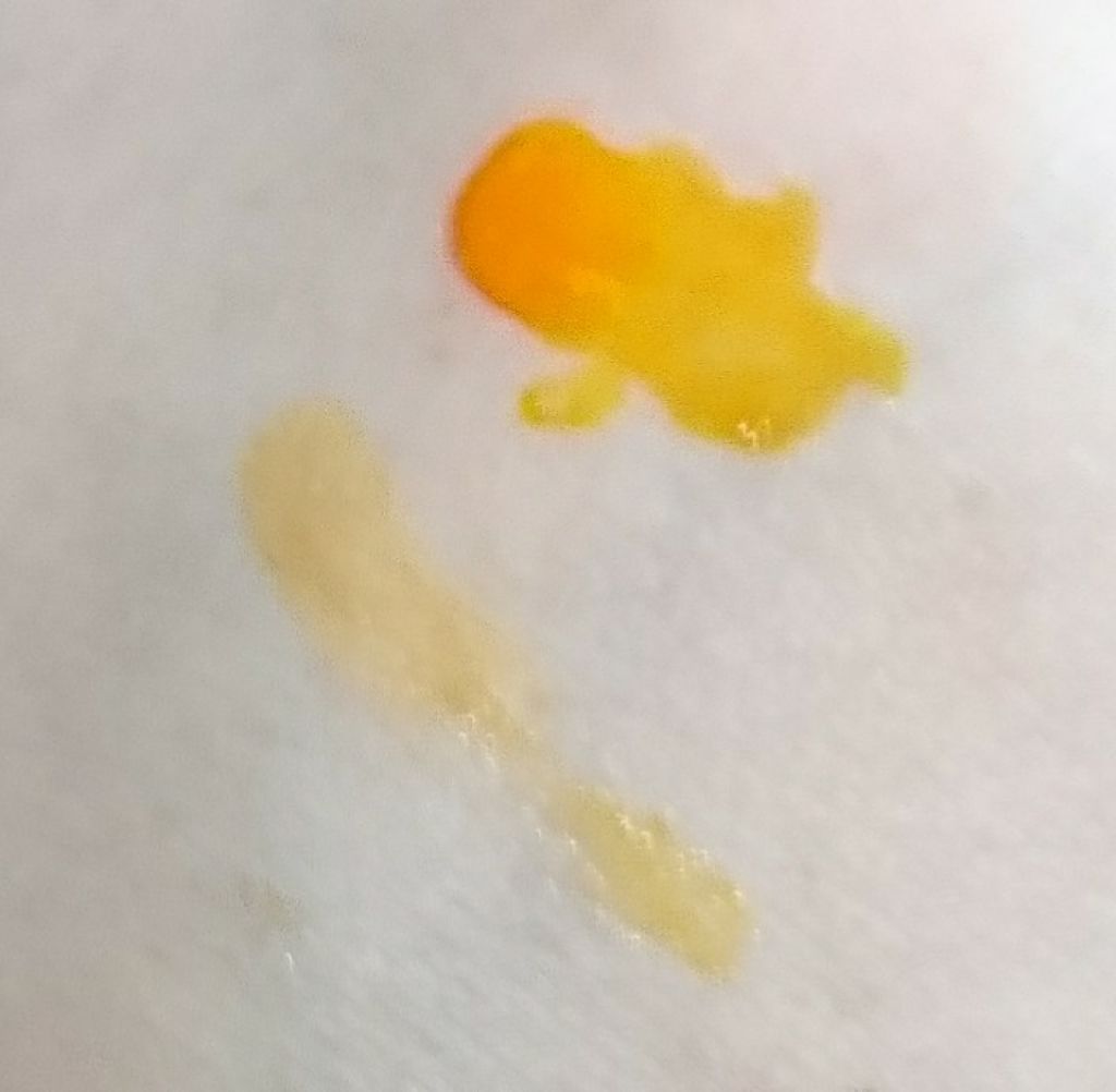  My Lip Tint Pack/ベリサム/リップティントを使ったクチコミ（3枚目）