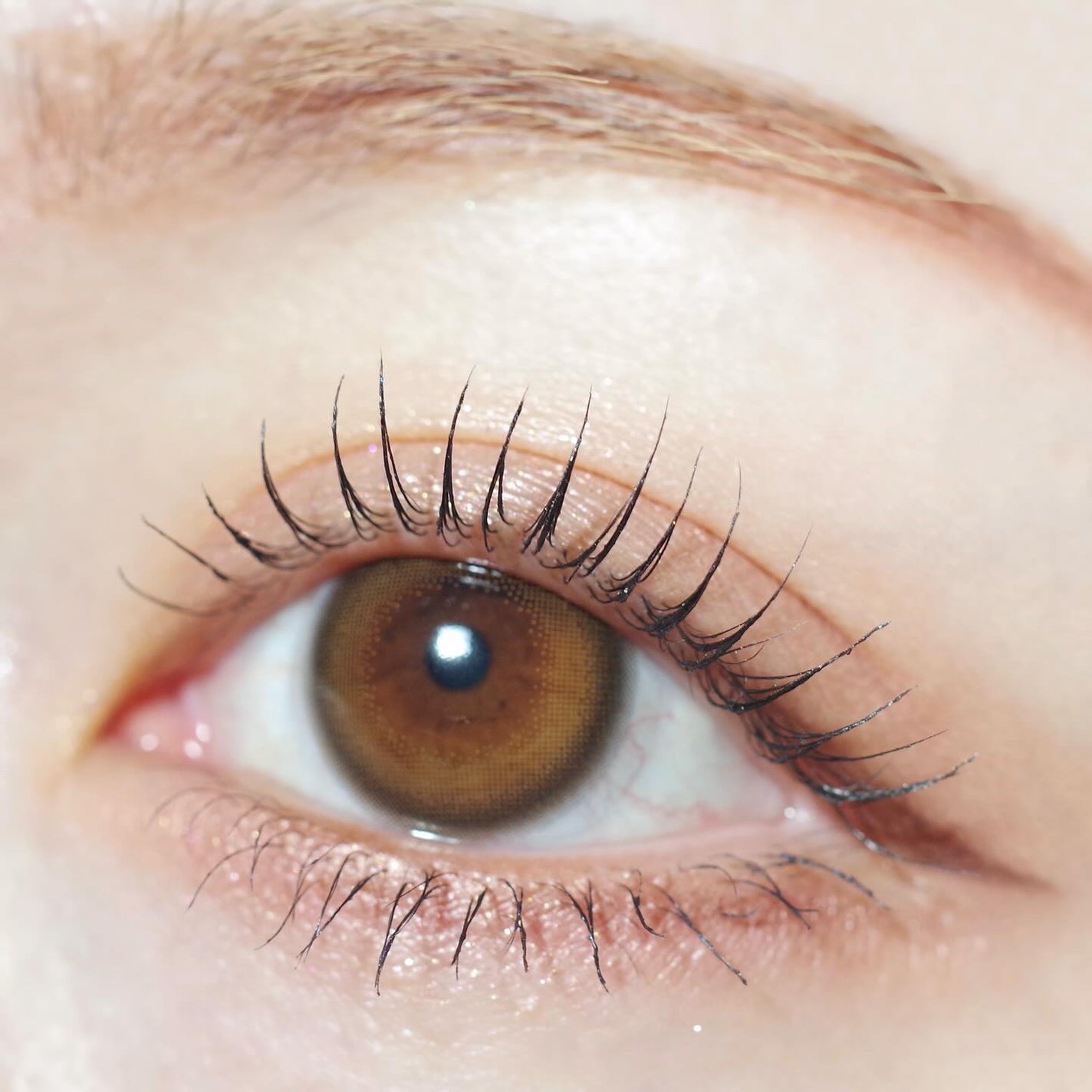 エテュセ アイエディション(カラーパレット)/ettusais/アイシャドウパレットを使ったクチコミ(6枚目)