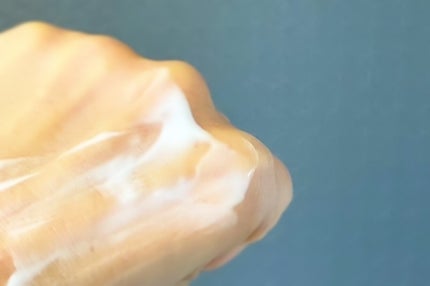 フォレストリズム ヴィーガンボディローション/ZEROSLASH/ボディローションを使ったクチコミ(4枚目)