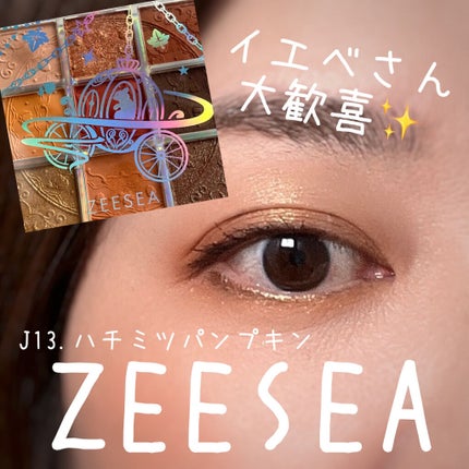 クォーツ 9色アイシャドウパレット(ドリームランドアイシャドウ)/ZEESEA/アイシャドウパレットを使ったクチコミ(1枚目)