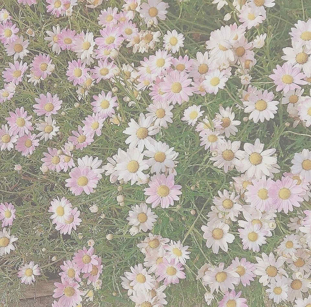 フェイス＆ネックホワイター/KATE/化粧下地を使ったクチコミ（1枚目）