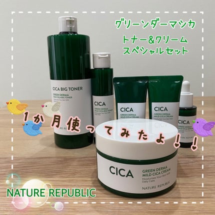 グリーン ダーマCICAビックトナー/ネイチャーリパブリック/化粧水を使ったクチコミ(1枚目)