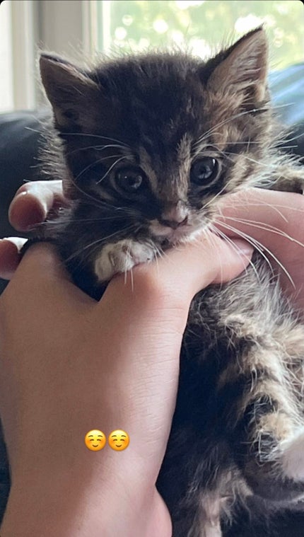 つやぷるリップR/b idol/口紅を使ったクチコミ(1枚目)