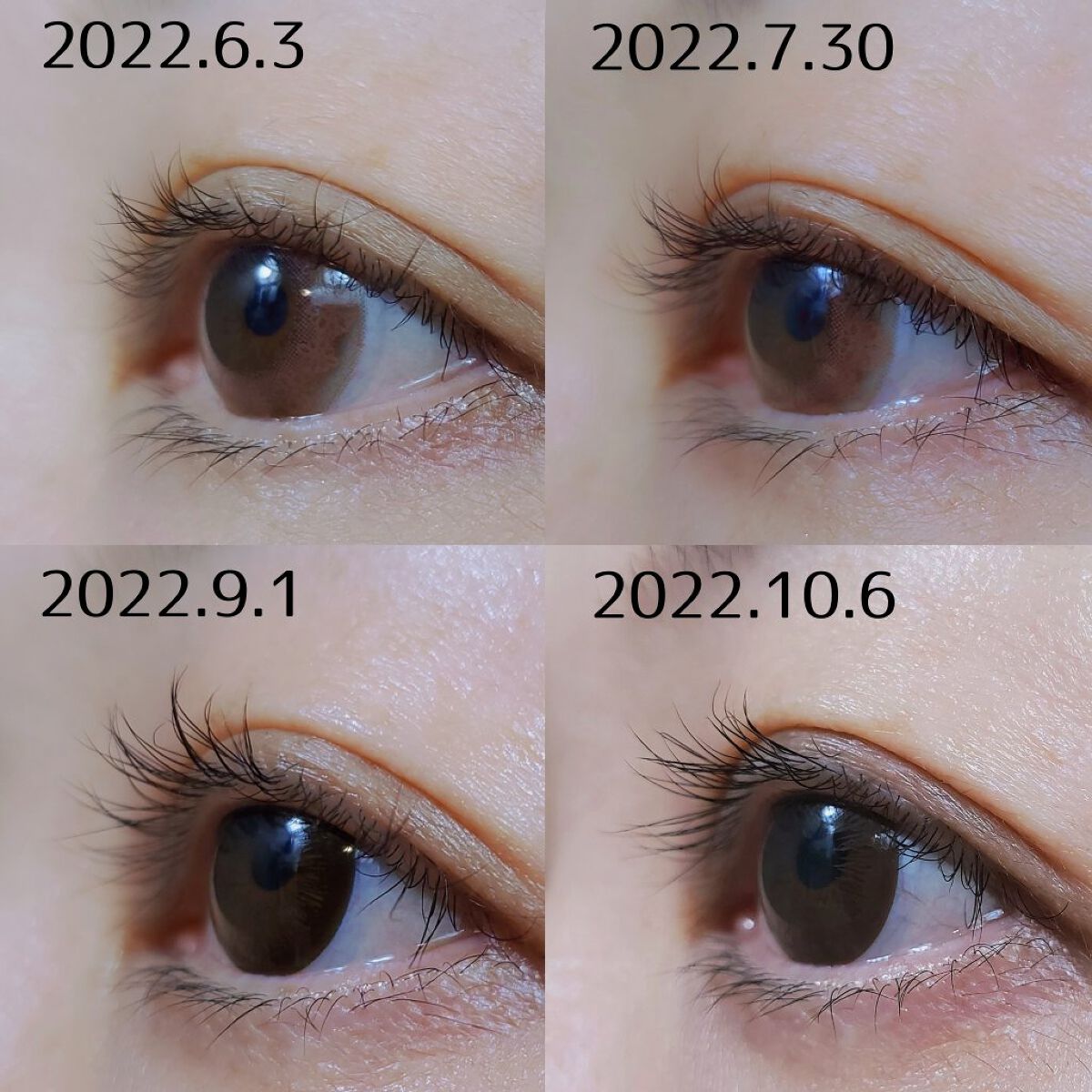 ラッシュジェリードロップ　ＥＸ/マジョリカ マジョルカ/まつげ美容液を使ったクチコミ（3枚目）