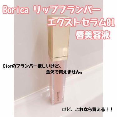Borica リッププランパー
エクストラセラム01 唇美容液

▹◃┄▸◂┄▹◃┄▸◂┄▹◃┄▸◂┄▹◃▹◃┄▸◂┄▹◃

Diorのあの有名なやつ欲しかったんですよ、、。
コロナの影響でバイトのシフ