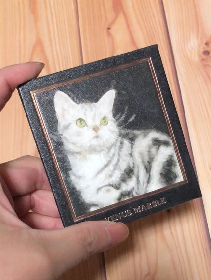 Venus Marble アイシャドウキャットシリーズ/Venus Marble/アイシャドウパレットを使ったクチコミ(1枚目)