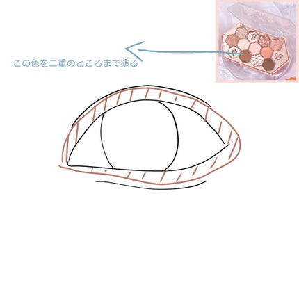 にこ(^-^)ちゃん on LIPS 「HOLDの蜂の巣アイシャドウのメイク順番私のしているアイシャド..」(5枚目)
