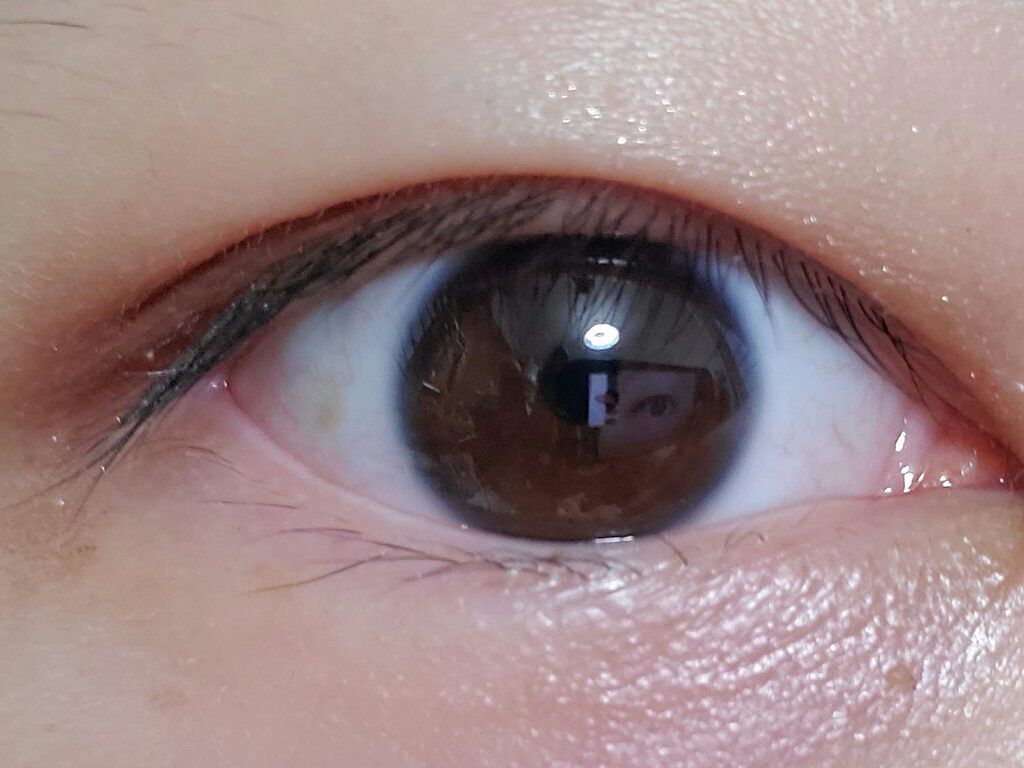 グロッシーリッチ アイズ N/Visée/アイシャドウパレットを使ったクチコミ(6枚目)